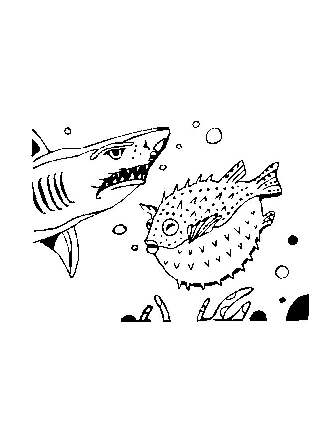 Coloring page: Shark (Animals) #14856 - Free Printable Coloring Pages