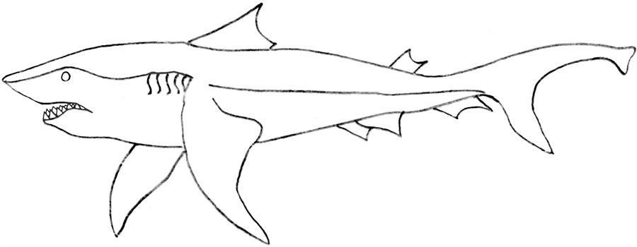 Coloring page: Shark (Animals) #14860 - Free Printable Coloring Pages