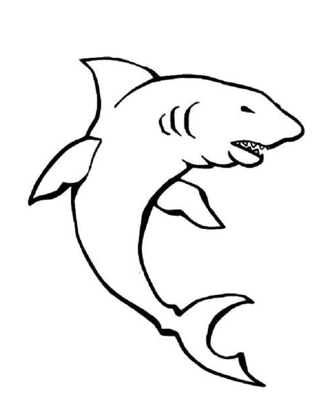 Coloring page: Shark (Animals) #14890 - Free Printable Coloring Pages