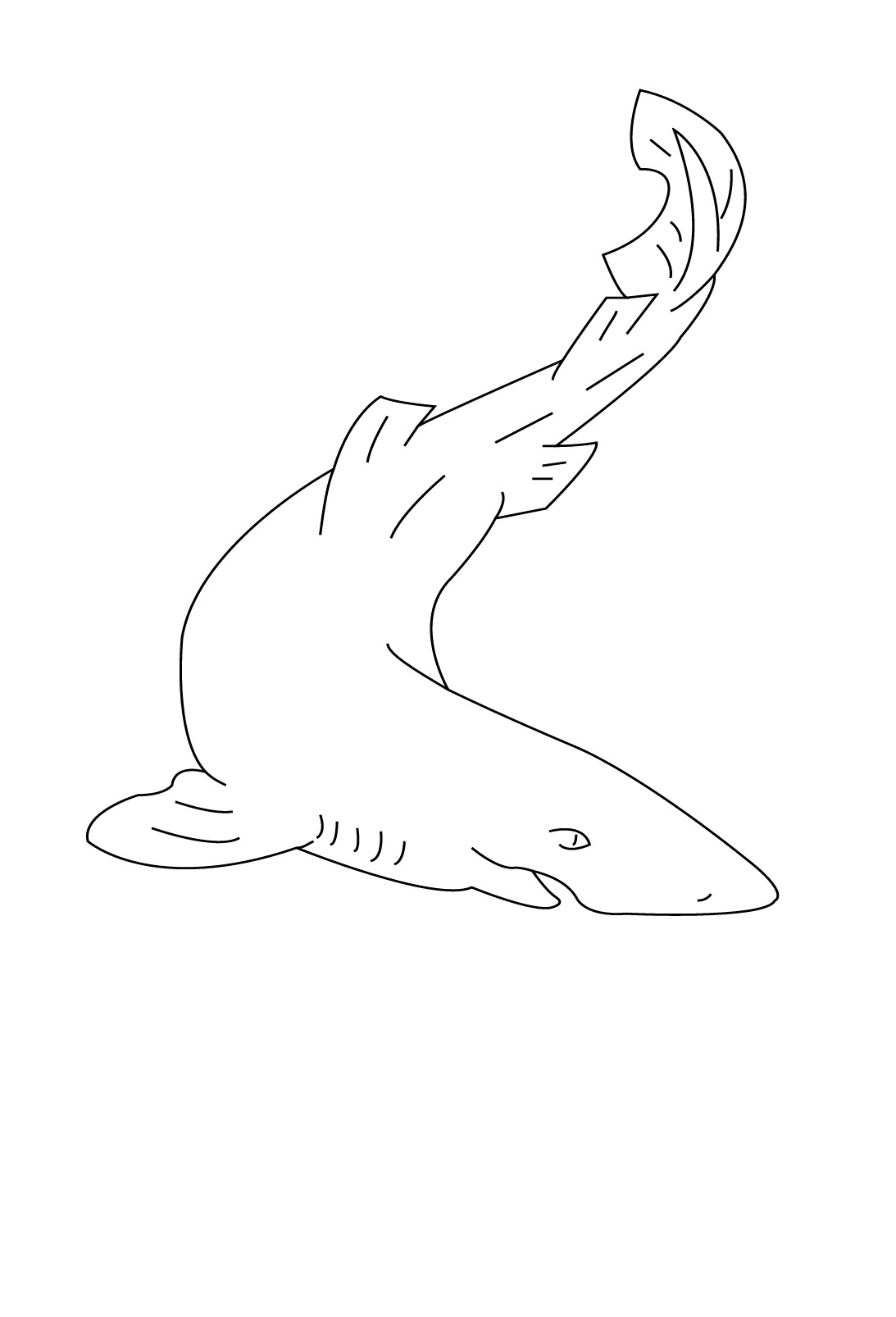 Coloring page: Shark (Animals) #14907 - Free Printable Coloring Pages