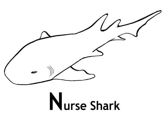 Coloring page: Shark (Animals) #14914 - Free Printable Coloring Pages