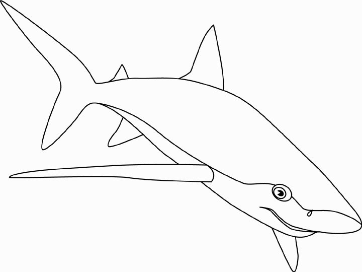 Coloring page: Shark (Animals) #14917 - Free Printable Coloring Pages