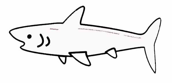 Coloring page: Shark (Animals) #14926 - Free Printable Coloring Pages