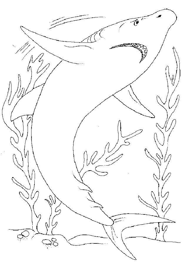 Coloring page: Shark (Animals) #14927 - Free Printable Coloring Pages