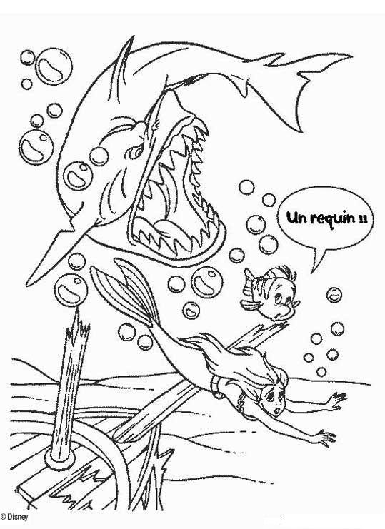 Coloring page: Shark (Animals) #14938 - Free Printable Coloring Pages