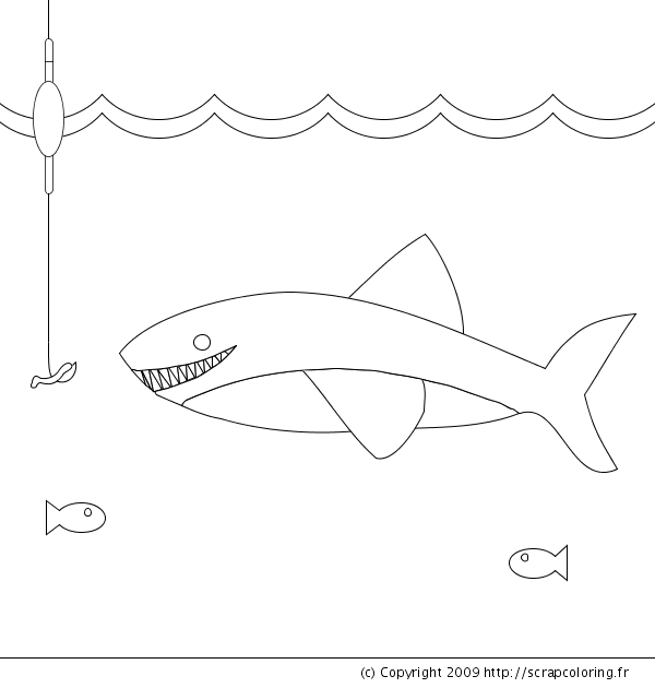 Coloring page: Shark (Animals) #14941 - Free Printable Coloring Pages