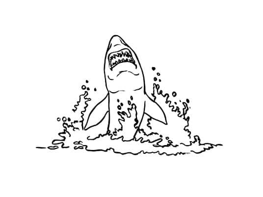 Free printable Shark coloring page #177716 from Animals collection Free printable Shark coloring page #177716 from Animals collection