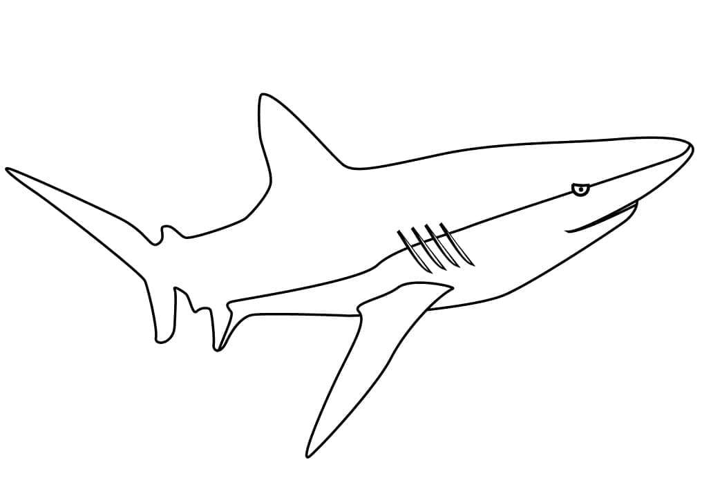 Free printable Shark coloring page #177719 from Animals collection Free printable Shark coloring page #177719 from Animals collection