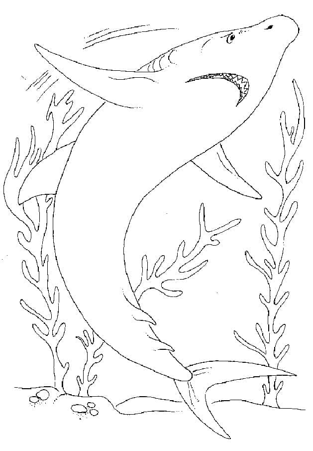 Free printable Shark coloring page #177737 from Animals collection