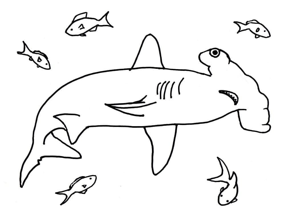 Free printable Shark coloring page #177741 from Animals collection