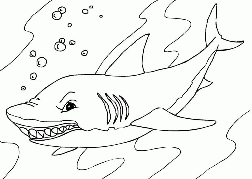 Free printable Shark coloring page #217017 from Animals collection