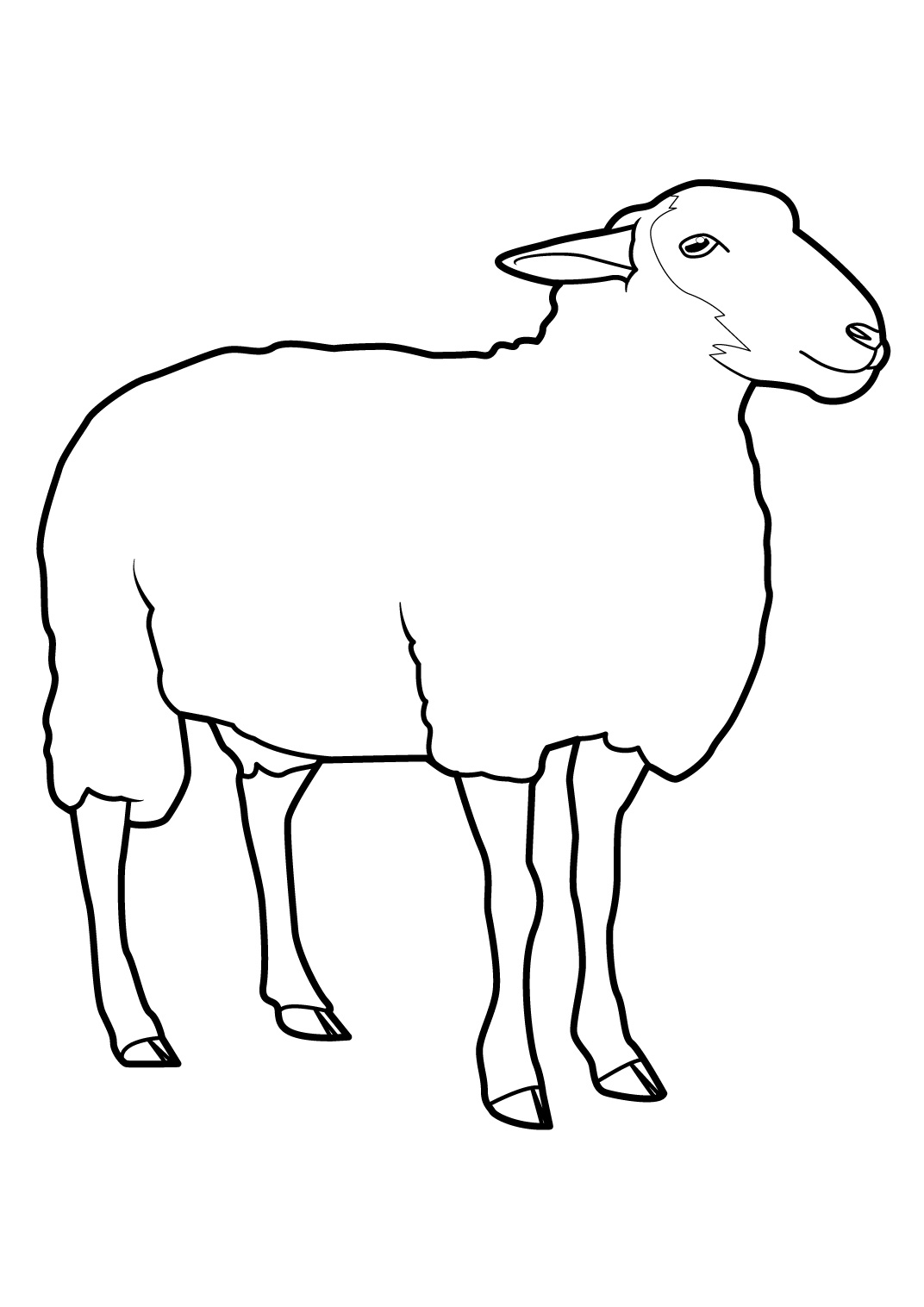 Coloring page: Sheep (Animals) #11390 - Free Printable Coloring Pages