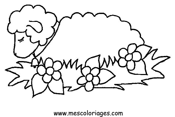 Coloring page: Sheep (Animals) #11391 - Free Printable Coloring Pages