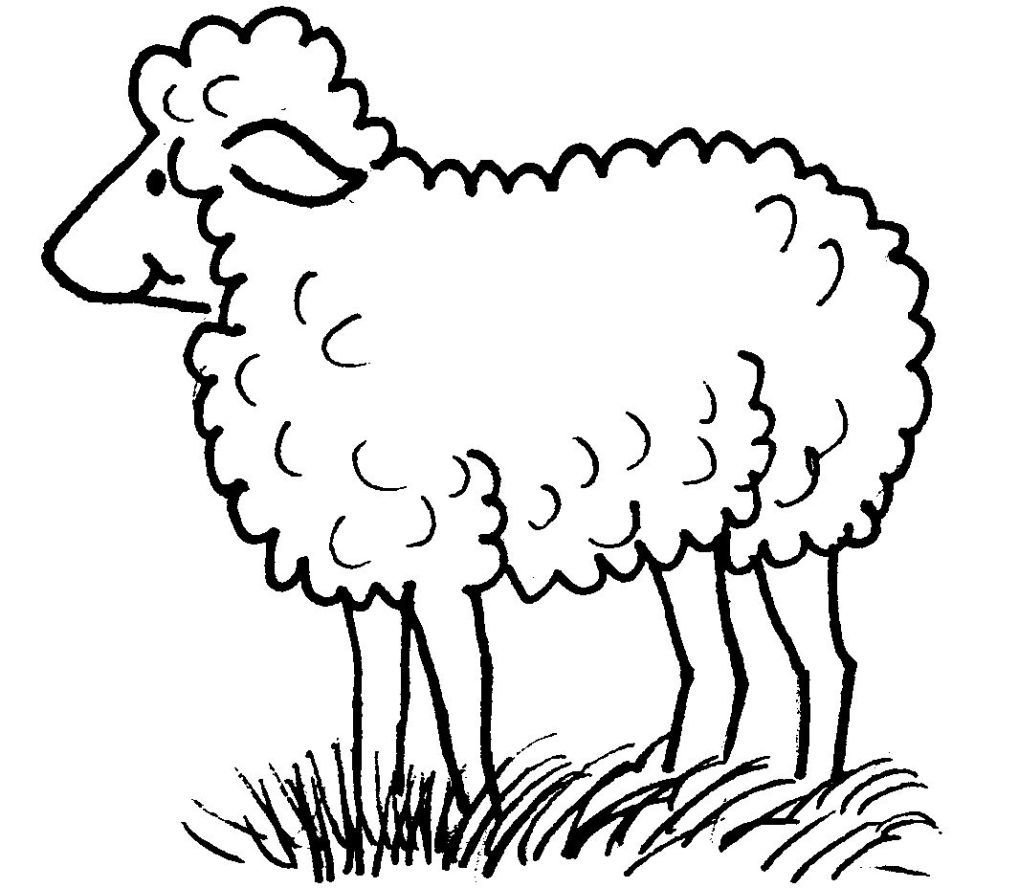 Sheep 11412 Animals – Printable coloring pages