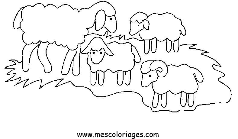 Coloring page: Sheep (Animals) #11414 - Free Printable Coloring Pages