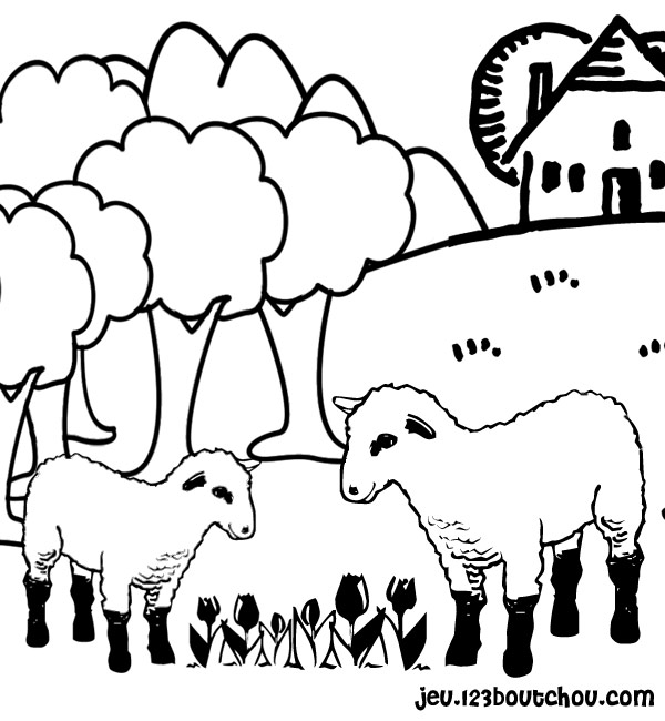Sheep Animals Printable Coloring Pages