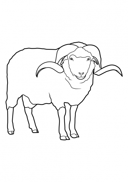 Coloring page: Sheep (Animals) #11421 - Free Printable Coloring Pages