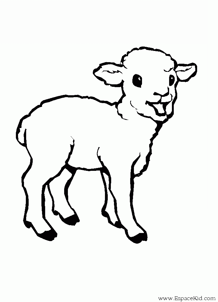 Black and white line art of a sheep. intricate detail. colouring book style  on Craiyon