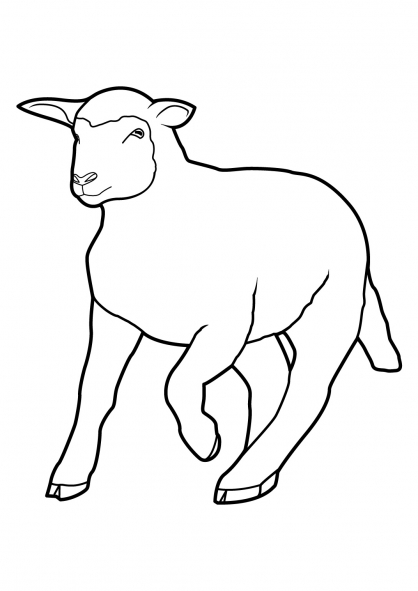 Coloring page: Sheep (Animals) #11428 - Free Printable Coloring Pages
