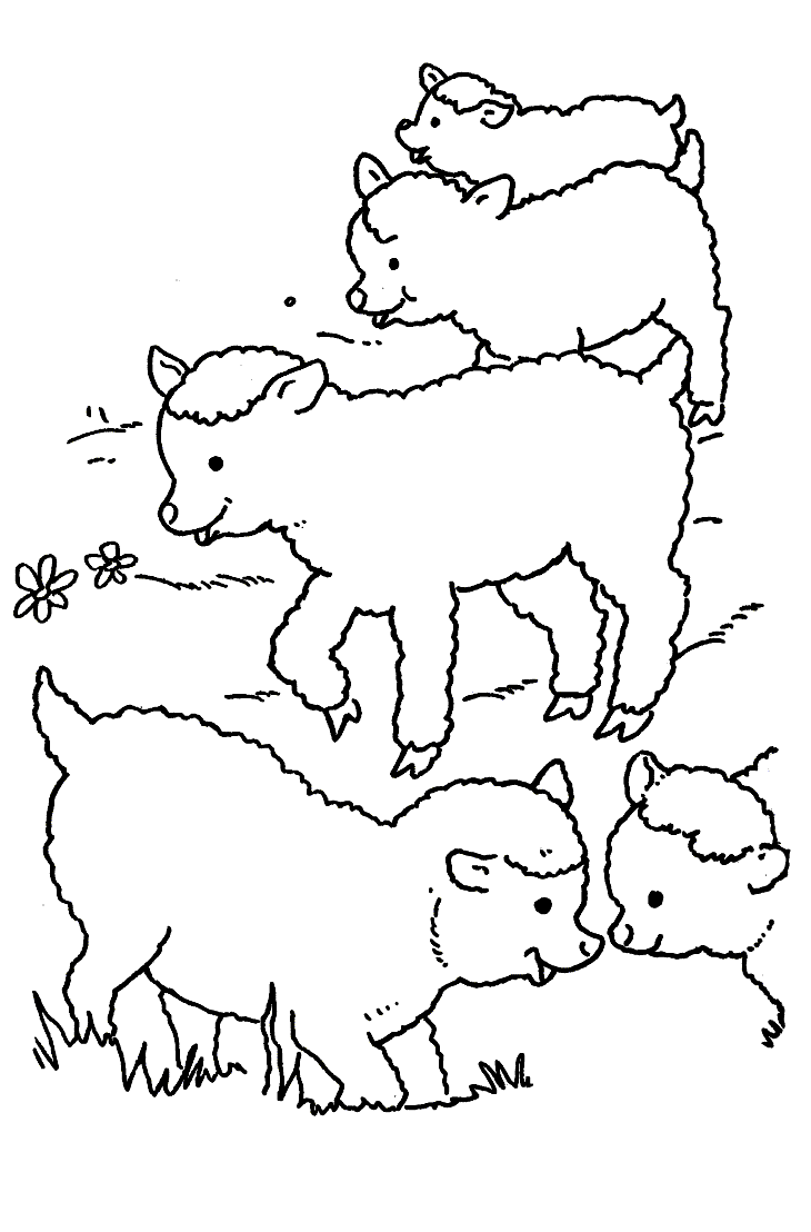 Coloring page: Sheep (Animals) #11431 - Free Printable Coloring Pages