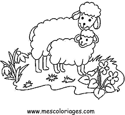 Coloring page: Sheep (Animals) #11436 - Free Printable Coloring Pages