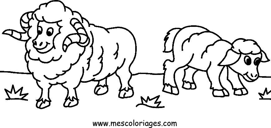 Coloring page: Sheep (Animals) #11456 - Free Printable Coloring Pages