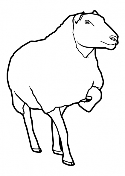 Coloring page: Sheep (Animals) #11460 - Free Printable Coloring Pages