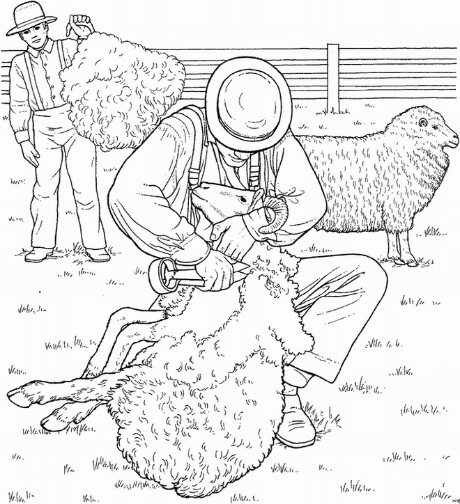 Coloring page: Sheep (Animals) #11461 - Free Printable Coloring Pages