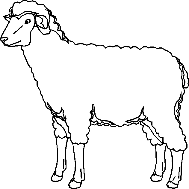Coloring page: Sheep (Animals) #11467 - Free Printable Coloring Pages