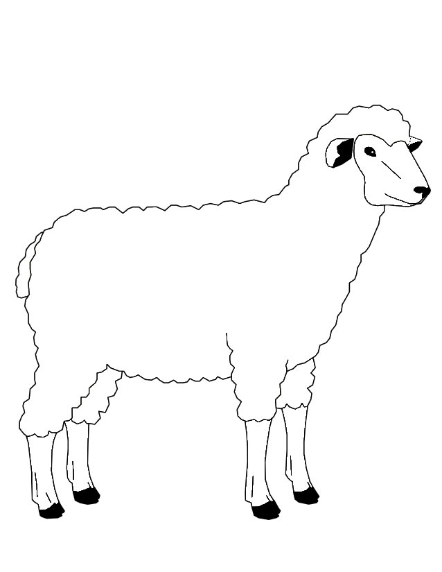 Coloring page: Sheep (Animals) #11471 - Free Printable Coloring Pages