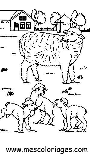 Coloring page: Sheep (Animals) #11474 - Free Printable Coloring Pages