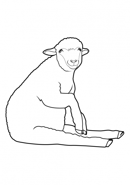 Coloring page: Sheep (Animals) #11492 - Free Printable Coloring Pages