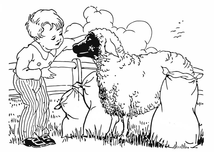 Coloring page: Sheep (Animals) #11495 - Free Printable Coloring Pages