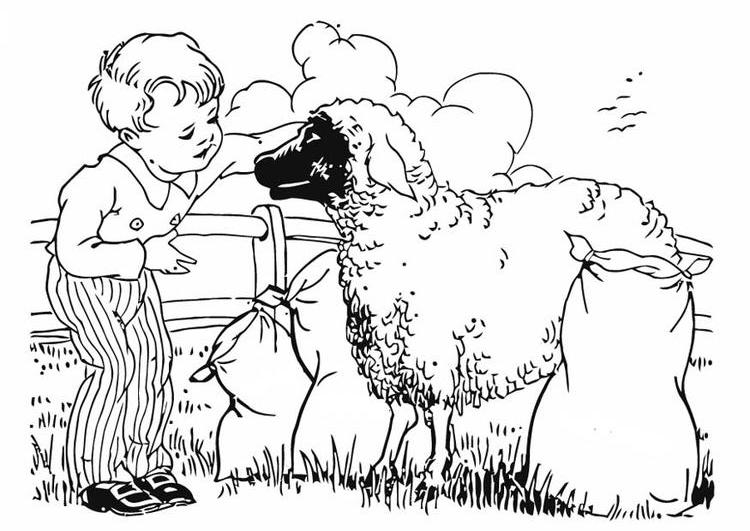 Coloring page: Sheep (Animals) #11497 - Free Printable Coloring Pages