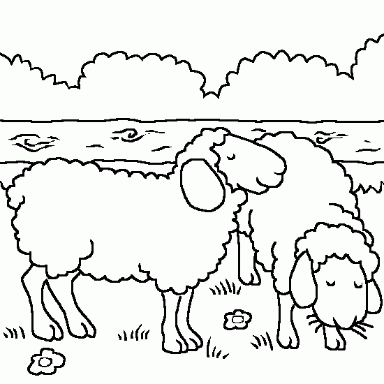 Coloring page: Sheep (Animals) #11500 - Free Printable Coloring Pages