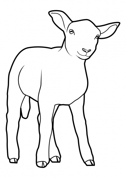 Coloring page: Sheep (Animals) #11502 - Free Printable Coloring Pages