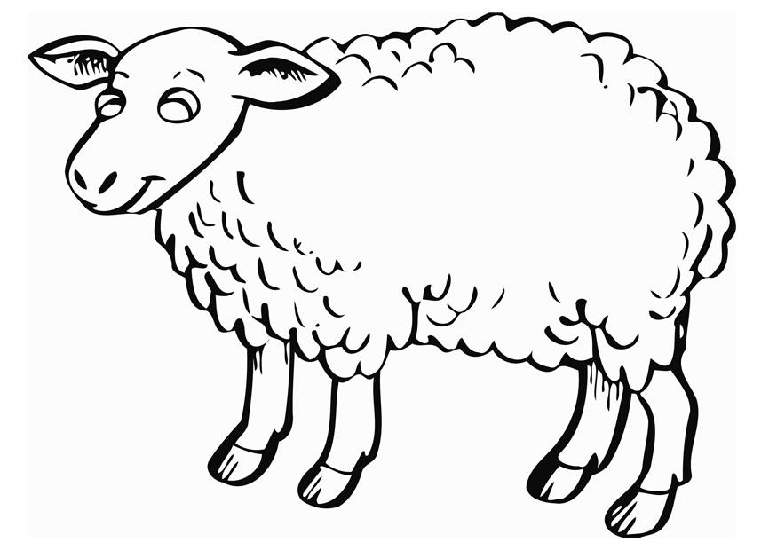 Coloring page: Sheep (Animals) #11503 - Free Printable Coloring Pages