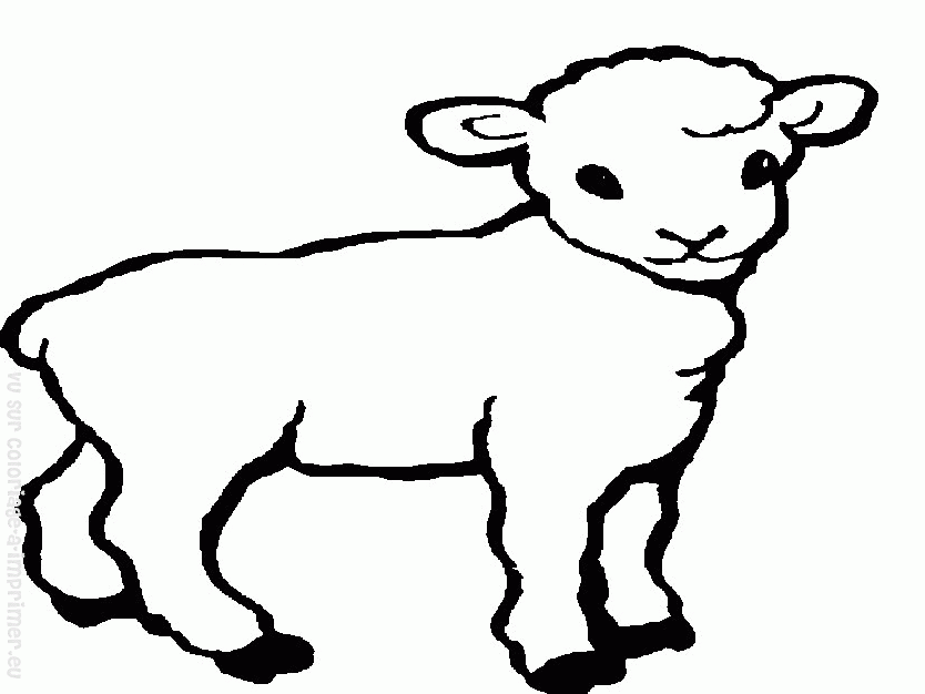 Coloring page: Sheep (Animals) #11505 - Free Printable Coloring Pages