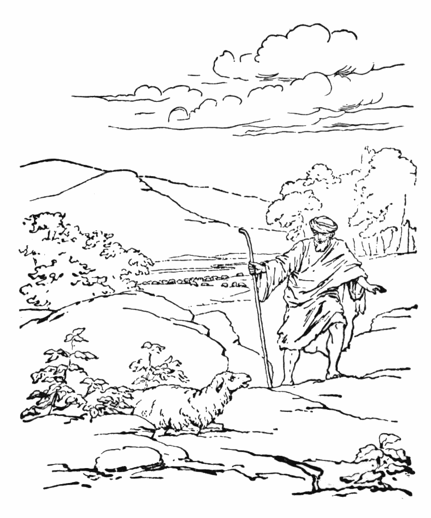 Coloring page: Sheep (Animals) #11510 - Free Printable Coloring Pages