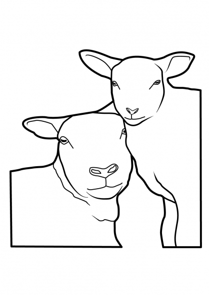 Coloring page: Sheep (Animals) #11514 - Free Printable Coloring Pages