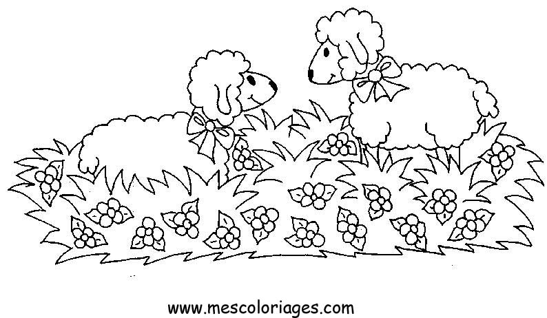 Coloring page: Sheep (Animals) #11516 - Free Printable Coloring Pages