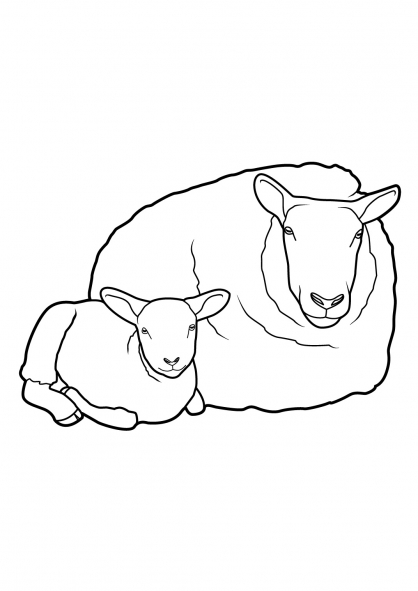 Coloring page: Sheep (Animals) #11521 - Free Printable Coloring Pages