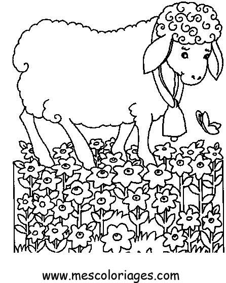 Coloring page: Sheep (Animals) #11533 - Free Printable Coloring Pages