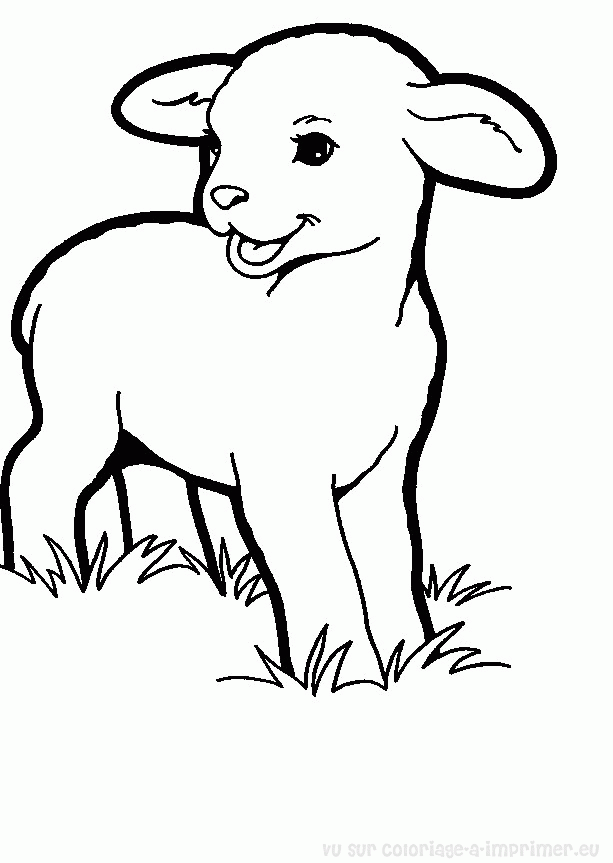 Coloring page: Sheep (Animals) #11548 - Free Printable Coloring Pages
