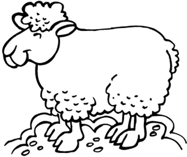 Coloring page: Sheep (Animals) #11571 - Free Printable Coloring Pages