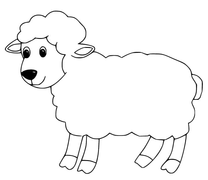 Free printable Sheep coloring page #198622 from Animals collection