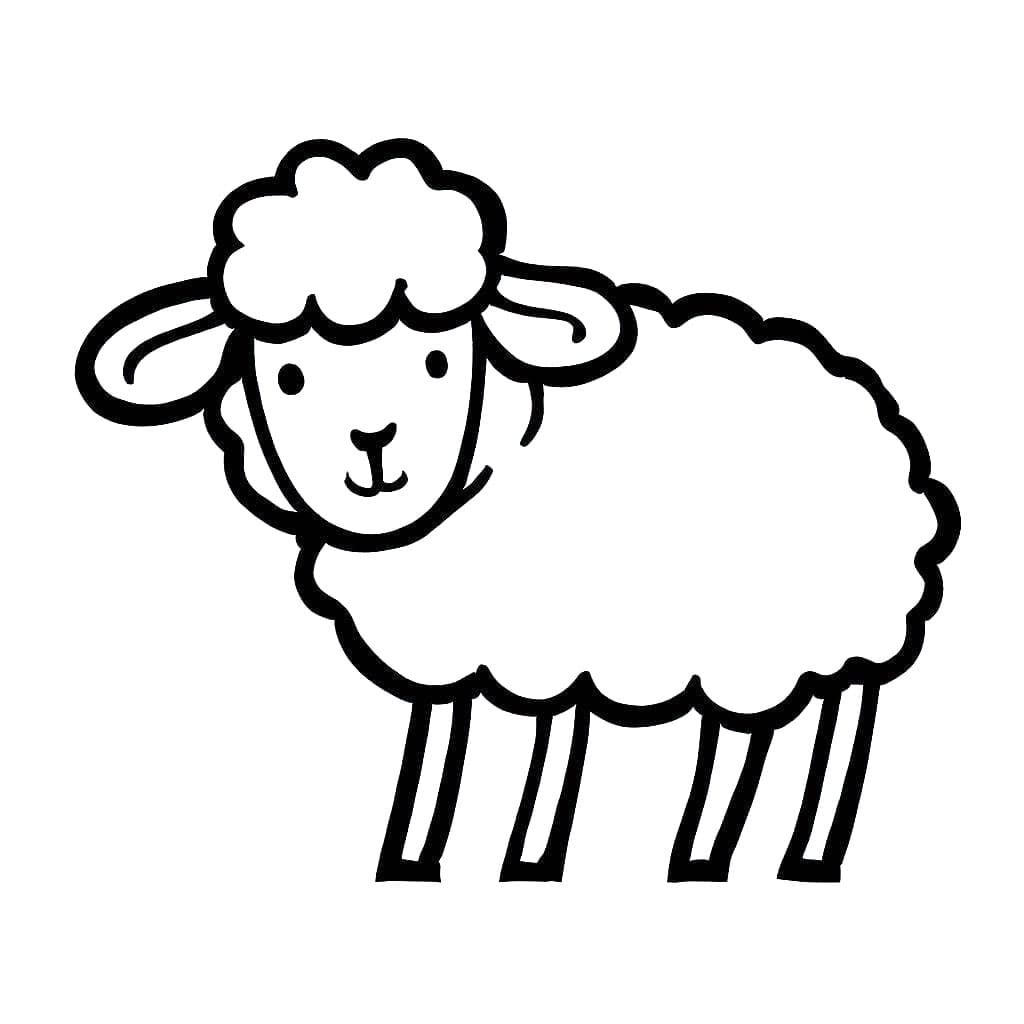 Free printable Sheep coloring page #198627 from Animals collection