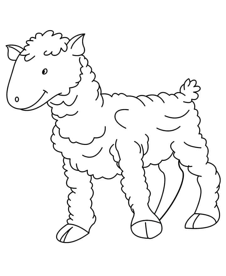 Free printable Sheep coloring page #198629 from Animals collection