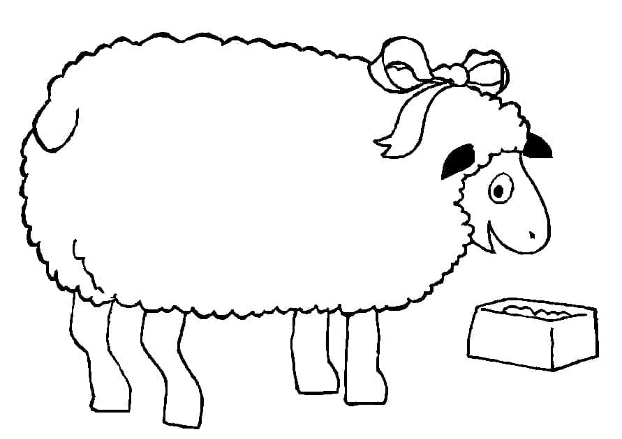 Free printable Sheep coloring page #198639 from Animals collection
