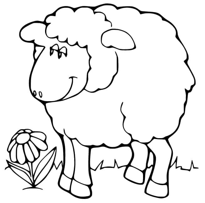 Free printable Sheep coloring page #198651 from Animals collection